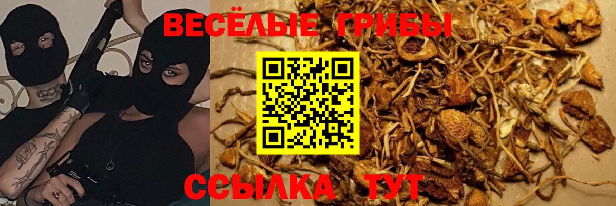 Псилоцибиновые грибы Psilocybine cubensis  Псилоцибиновые грибы Psilocybine cubensis  Вход с VPN  Санкт-Петербург 